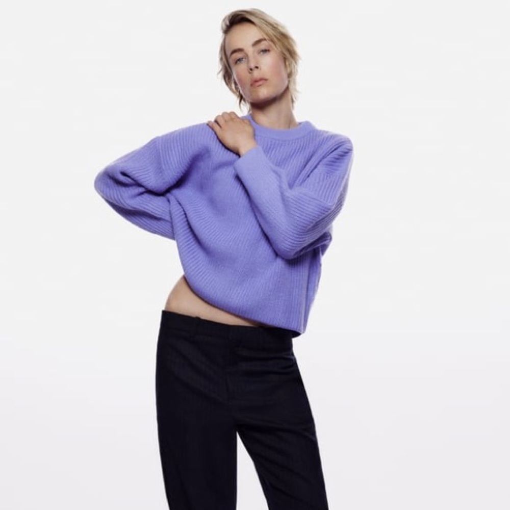 Zara purl knit sweater